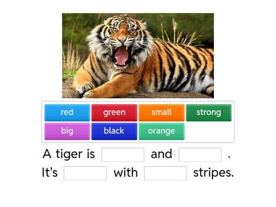 Unit 7: Animals everywhere