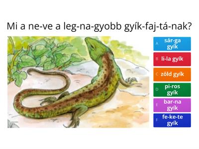 Szövegfeldolgozás: A zöld gyík