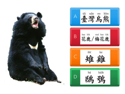 閩南語第八冊第四課