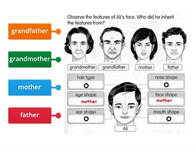 Inheritance-Let's Compare