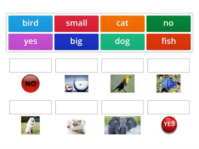 Here we go Unit 1 vocabulary