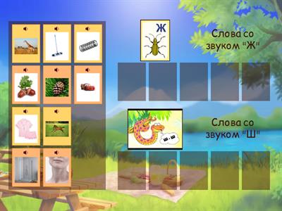 Дифференциация звуков  "Ш" и "Ж".