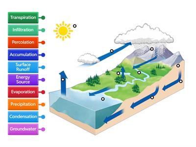 TMS Water Cycle Labeled Diagram 