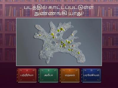 Science Quiz (Grade-8) 