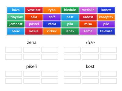 Vzory - ŽENSKÝ ROD