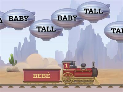 GUARDA EL ADJETIVO EN EL BAGÓN CORRECTO