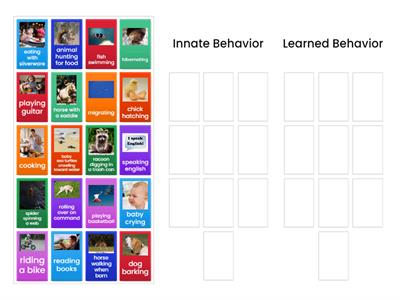 Innate or Learned Behavior?