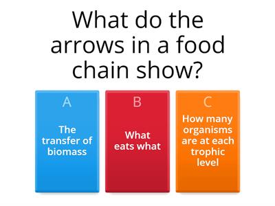 Biomass and pyramids