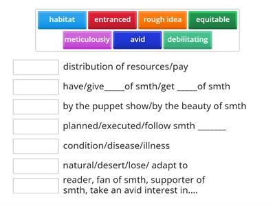 Roadmap B2+ Birdwatching collocations