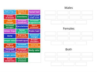 Changes at Puberty (Male/Female)