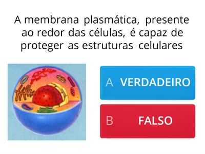 QUIZ CIÊNCIAS