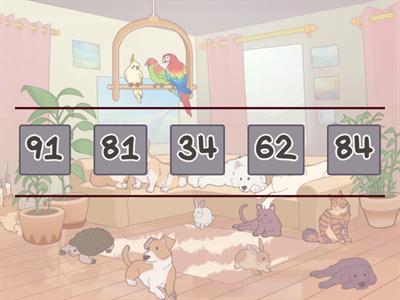 Number Sequencing 0-100 Smallest to Biggest