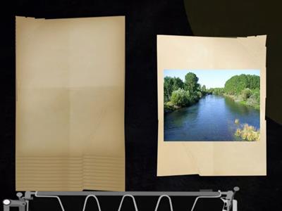 construa frases com as figuras