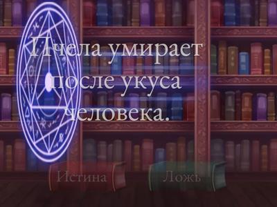 Истина-ложь