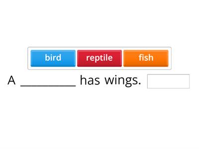 Animal Classification