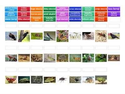 zš Luková 3.třída- živočichové