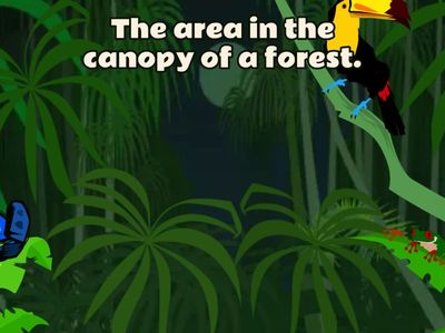 Compound Word - Flying Fruit