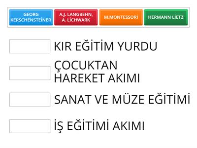 EĞİTİM AKIMLARI