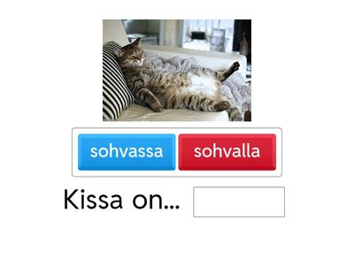 Missä on? + Mihin? Missä? Mistä?