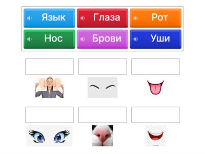Части лица_рки для детей
