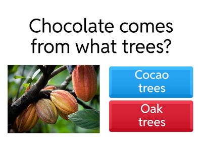 Wk 10 -History of Chocolate QUIZ