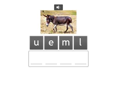 U2L2 Spelling