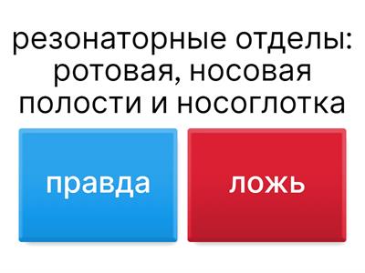 основы логопедии