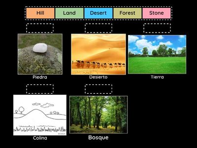 Vocabulario. Naturaleza 2.