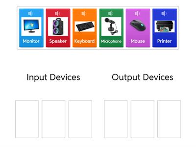 Input and Output Devices