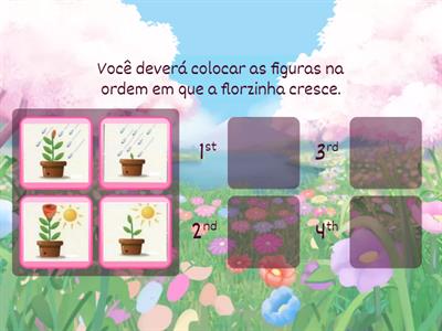 Sequência de cenas - flor