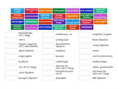 Szótanulás/betegséggel kapcsolatos szavak