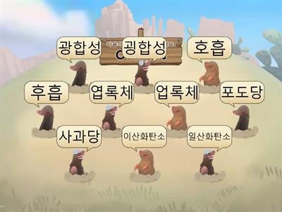 식물과 에너지