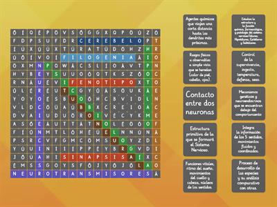 BASES BIOLÓGICAS DE LA CONDUCTA : SOPA DE LETRAS