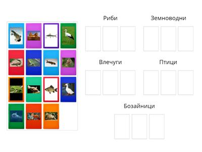 Групиране на животни