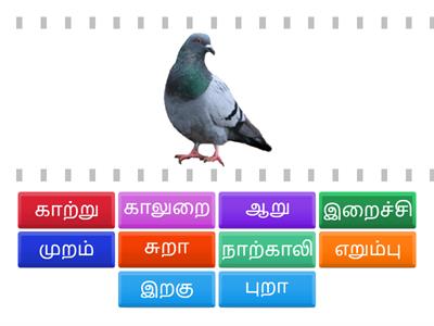 உயிர்மெய் எழுத்து சொற்கள் {ற}