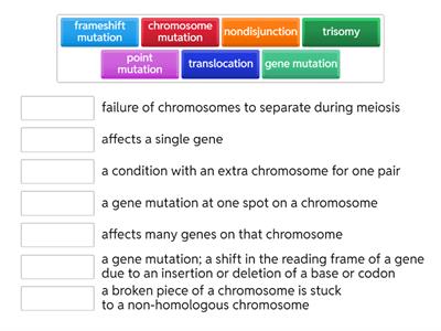 Mutations Vocabulary