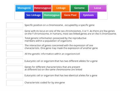 Patterns of Inheritance Key Words 2