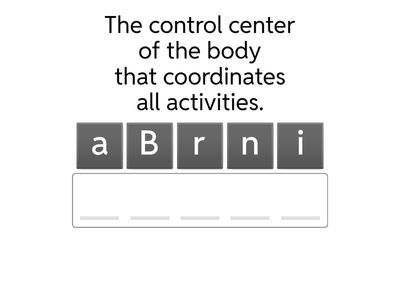 Human Reproductive System