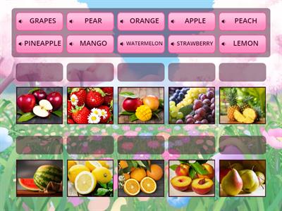 FRUIT - U8.1 - Oxford, Beehive 1