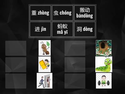 一年级。生字新词