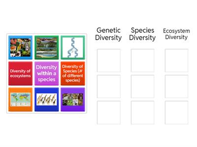 Biodiversity Types Sort