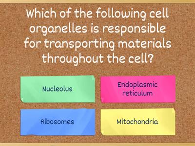 NHA MOD 2 Anatomy & Physiology