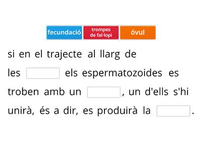 LA FECUNDACIÓ, L'EMBARÀS I EL PART