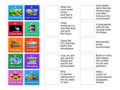 Enviromental Issues and Solutions Vocabulary Definitions