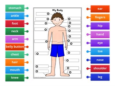 Vocabulary Practice: Parts of the Body