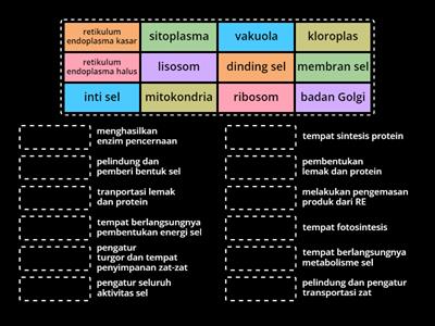 QUIZZ : Struktur dan Fungsi Sel