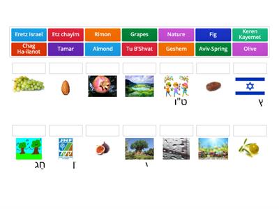 Tu B'Shvat Vocabulary