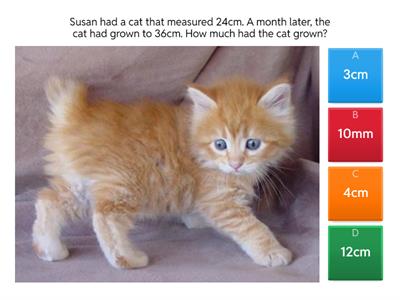 TK-G3-Measurement Word Problem 