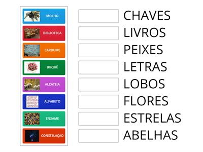 Substantivos Coletivos - CSU