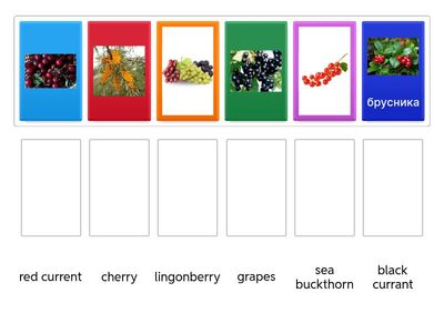 5 Ягоды   сопоставить